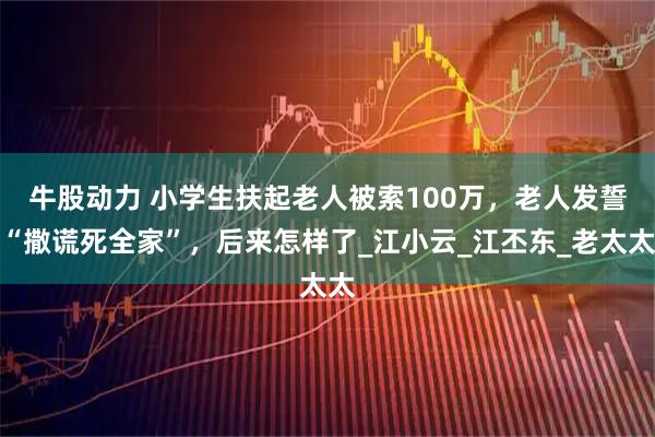牛股动力 小学生扶起老人被索100万，老人发誓“撒谎死全家”，后来怎样了_江小云_江丕东_老太太