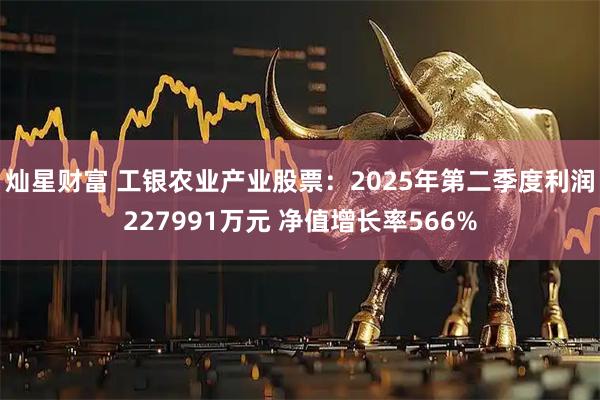 灿星财富 工银农业产业股票：2025年第二季度利润227991万元 净值增长率566%