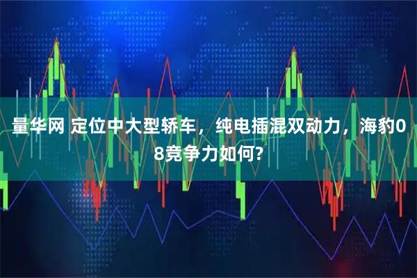 量华网 定位中大型轿车，纯电插混双动力，海豹08竞争力如何?
